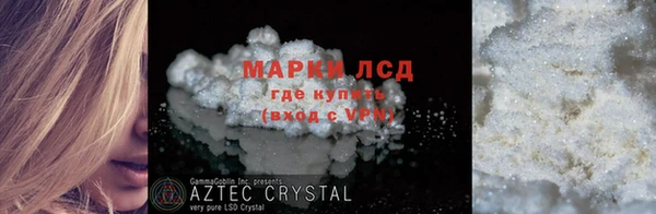 гидра Аркадак