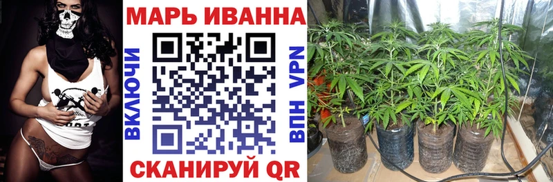 Бошки Шишки сатива  Снежногорск 
